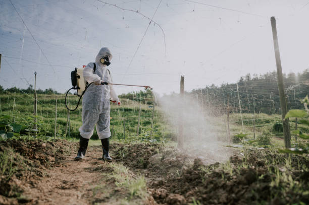 Best Pest Prevention Services  in Eldorado, TX