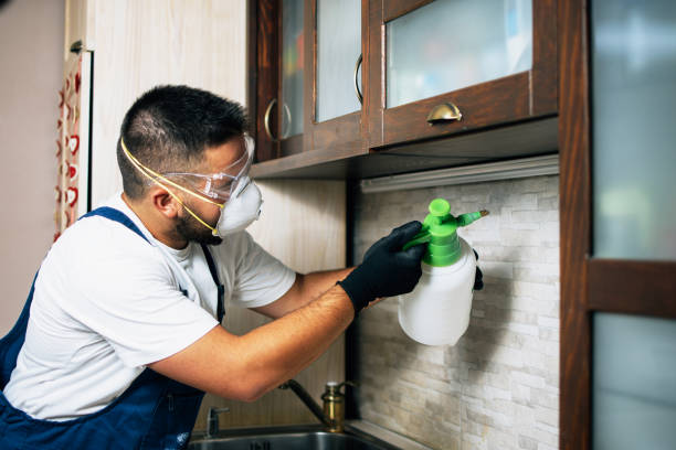 Best Flea Control Services  in Eldorado, TX