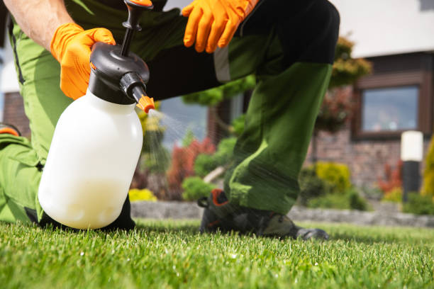 Best Exterminator Services  in Eldorado, TX