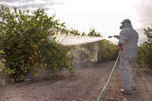 Best Affordable Pest Control Services  in Eldorado, TX
