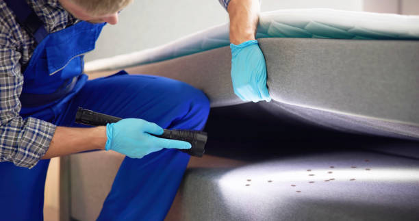 Best Pest Inspection Near Me  in Eldorado, TX