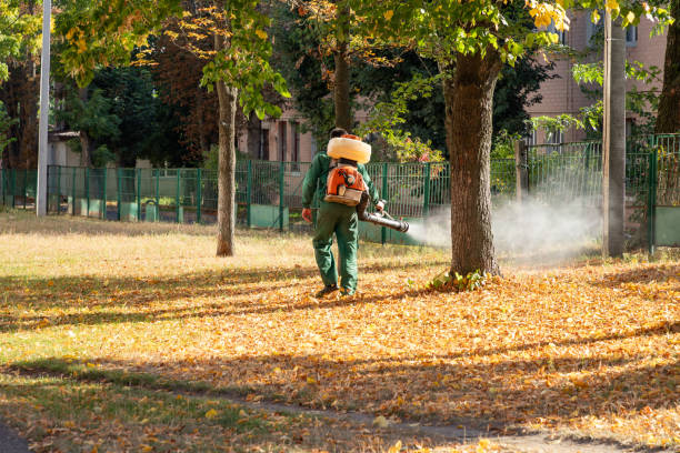 Best Best Pest Control Companies  in Eldorado, TX