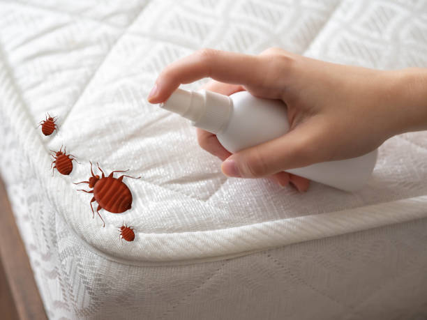 Best Residential Pest Control  in Eldorado, TX