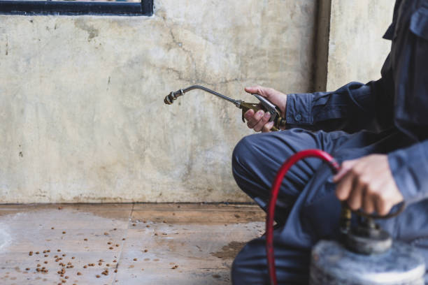 Best Pest Control Near Me  in Eldorado, TX